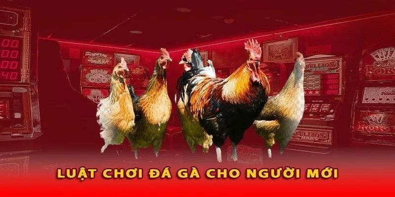 Luật chơi không quá khó để hội viên nắm bắt 