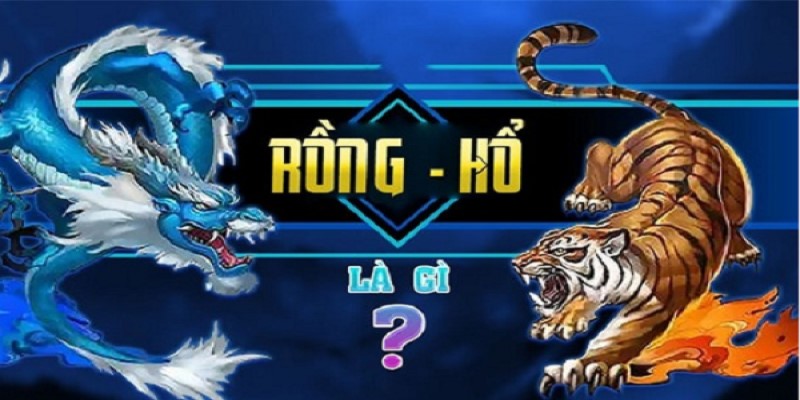 Siêu phẩm game Rồng Hổ và những thông tin khái quát 