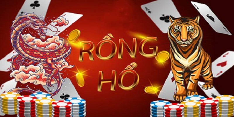 Hãy chọn cửa cược phù hợp nhất khi chơi game Dragon Tiger 