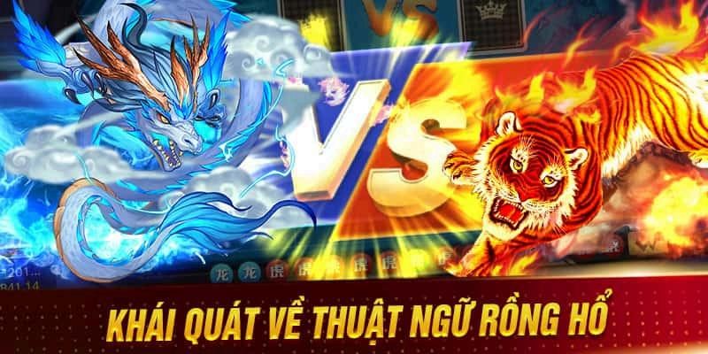 Hãy nắm rõ những thuật ngữ trong game Dragon Tiger 