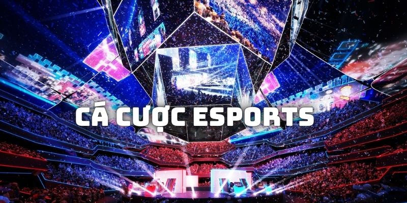 Giới thiệu về khái niệm của dòng sản phẩm cá cược Esports